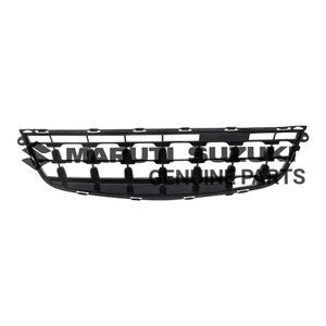 GRILLE_ RADIATOR LOWER (BLACK)
