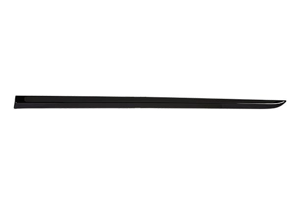 Body Side Moulding (Bluish Black + Glistening Grey Insert) | New Baleno