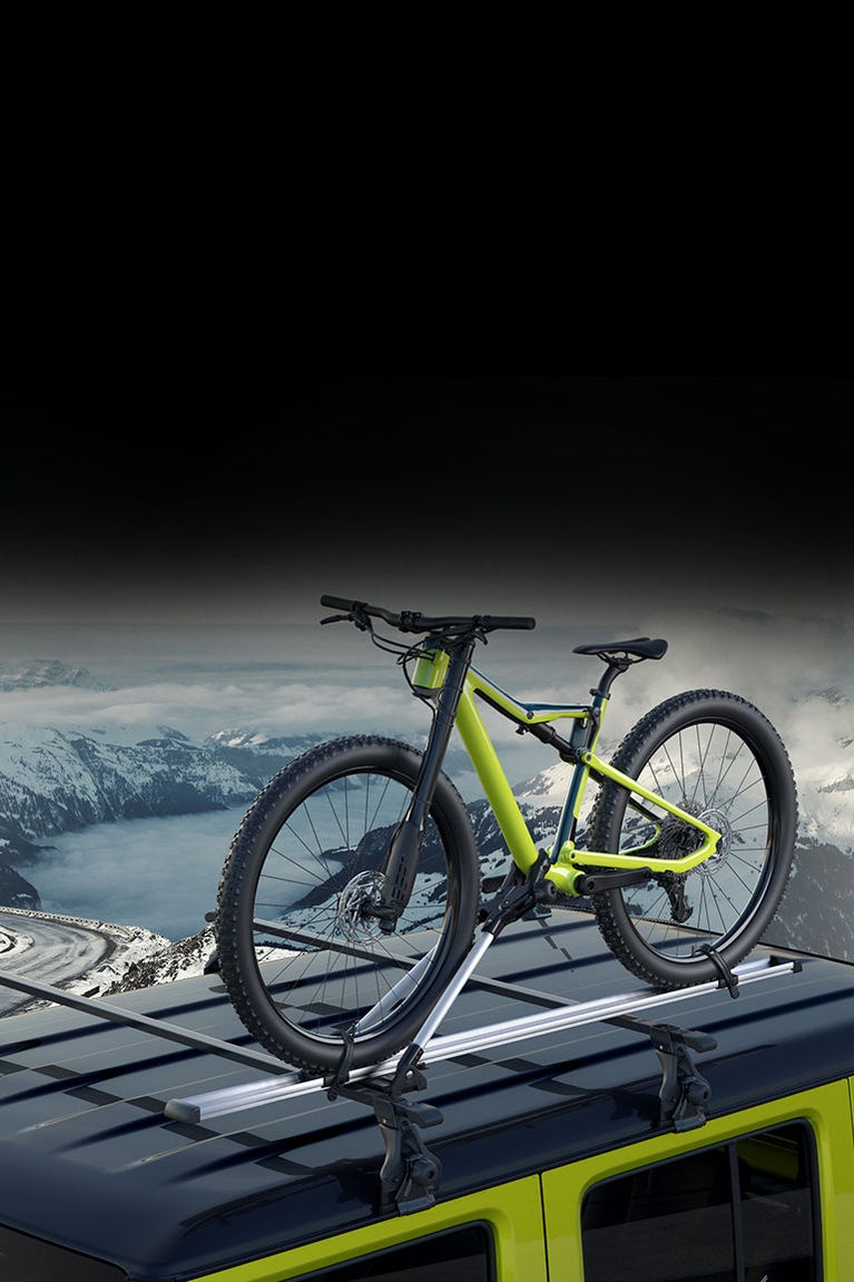 Bicycle Carrier