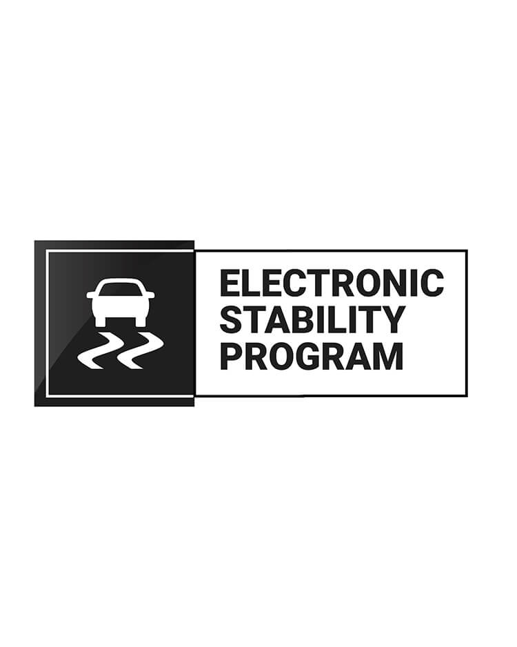 Electronic Stability Program (ESP)