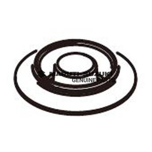 CAPMAIN FLOOR DRAIN