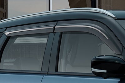 Door Visor Set