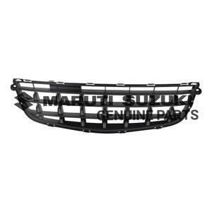 GRILLE_ RADIATOR LOWER (BLACK)