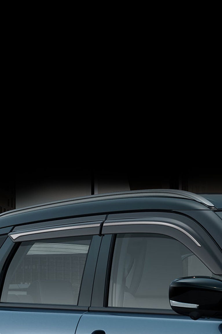Door Visor Set