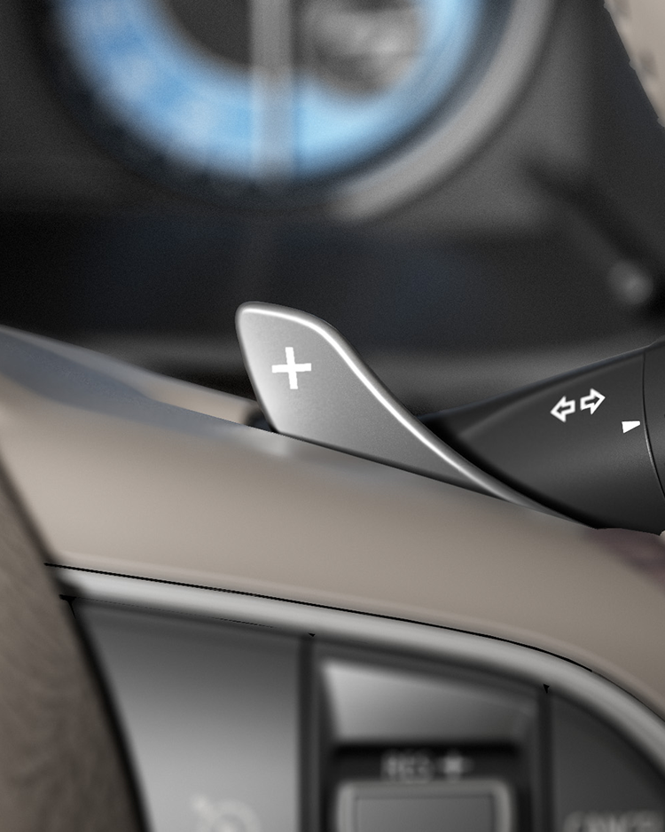 Paddle Shifters