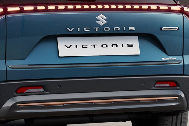 Back Door Garnish - Dark Chrome Finish | Victoris