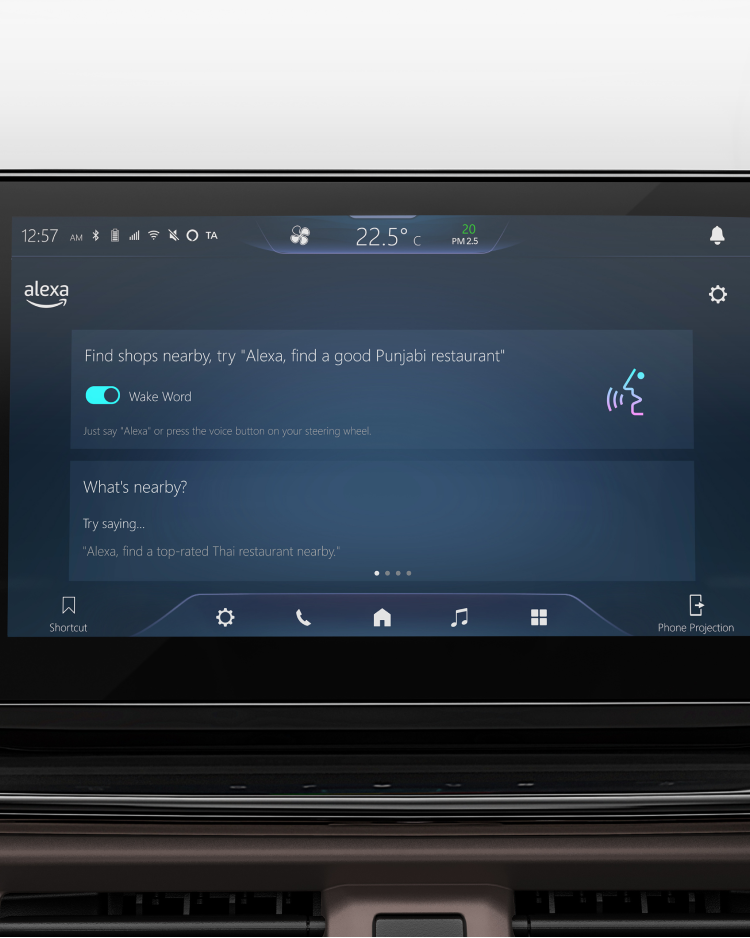 Brezza Alexa Built-in