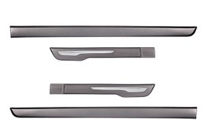 Body Side Moulding (Glistening Grey with Chrome Insert) | New Celerio