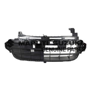 GRILLE_RADIATOR LOWER