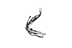 Rear View Camera | Fronx