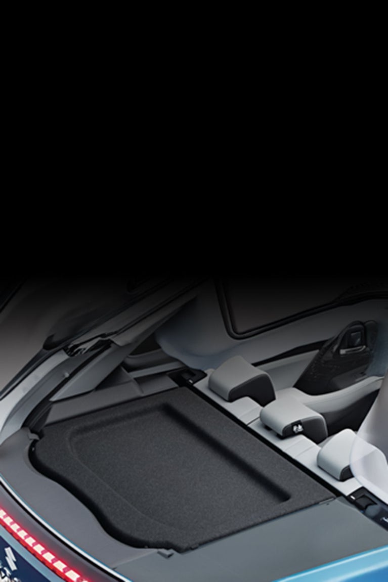Rear Parcel Tray