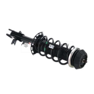 FRONT SUSPENSION STRUT SET (RIGHT)