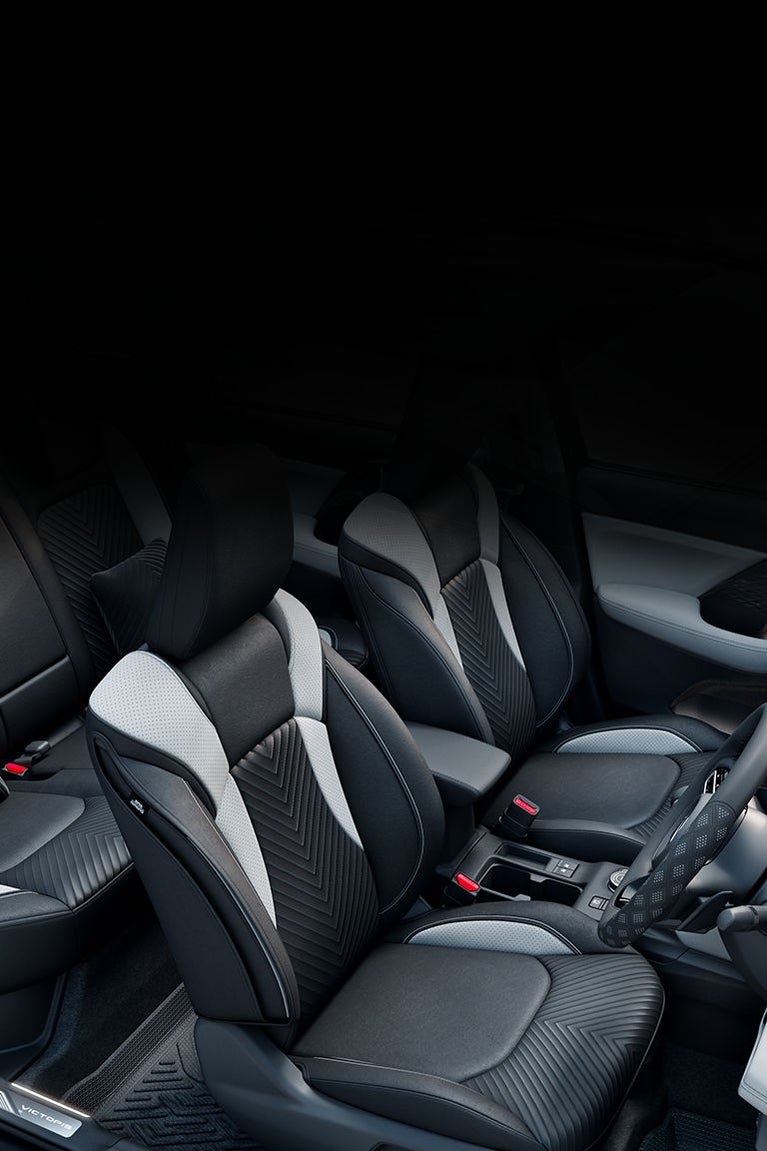 Seat Cover SAB